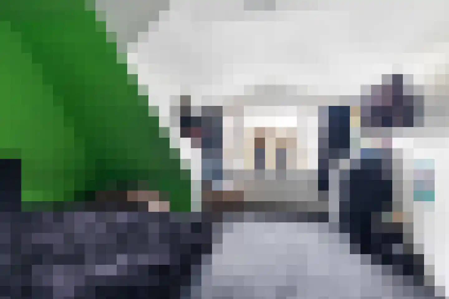 De Trieme 20 De Trieme thumbnail 23