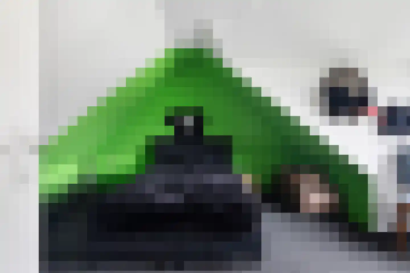 De Trieme 20 De Trieme thumbnail 24
