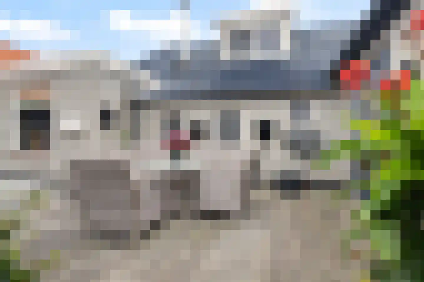 De Trieme 20 De Trieme thumbnail 29