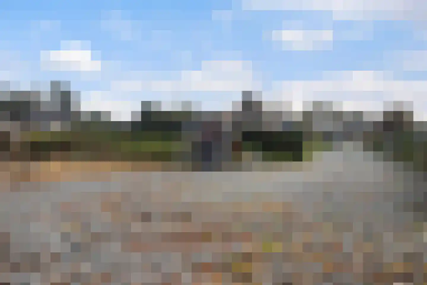 De Trieme 20 De Trieme thumbnail 36