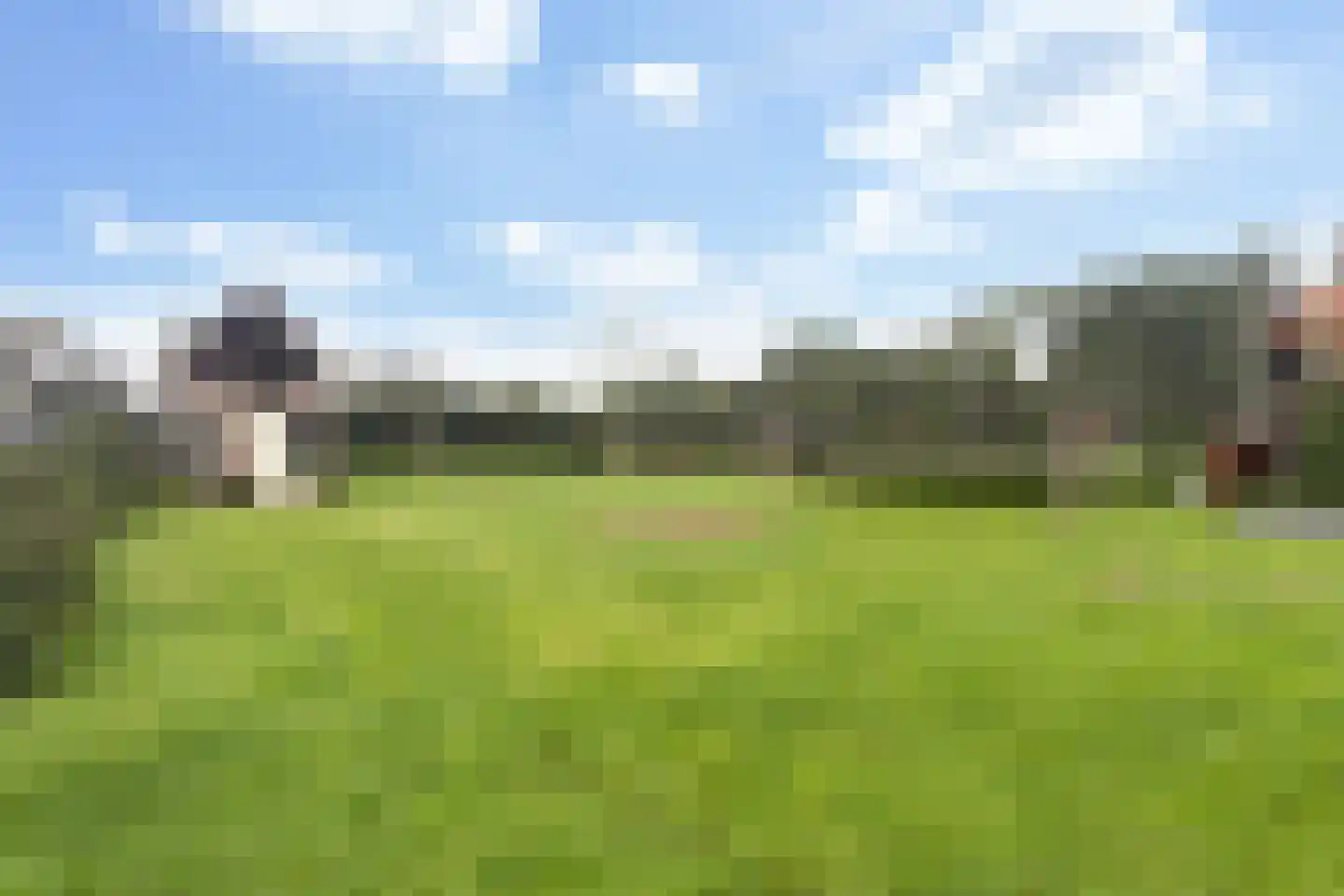 De Trieme 20 De Trieme thumbnail 4
