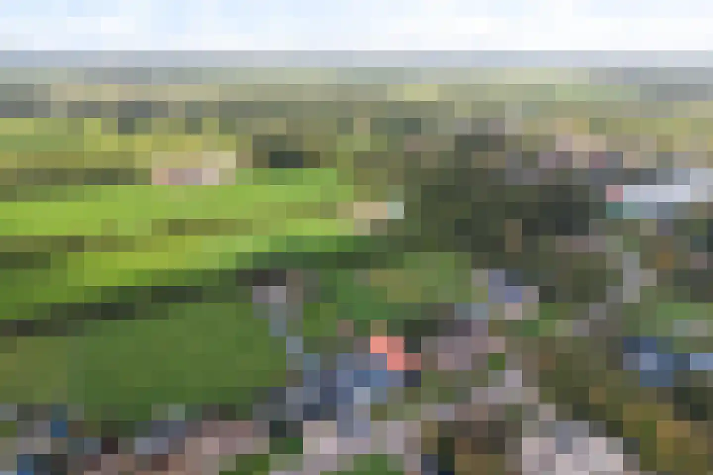De Trieme 20 De Trieme thumbnail 49