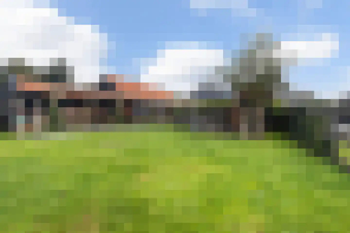 De Trieme 20 De Trieme thumbnail 5