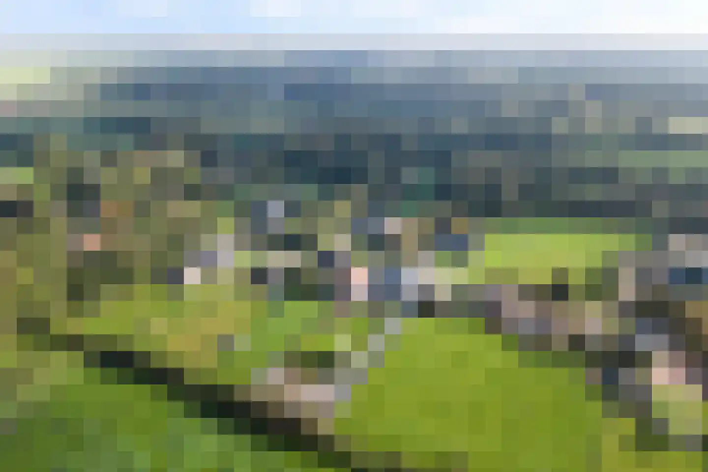 De Trieme 20 De Trieme thumbnail 50