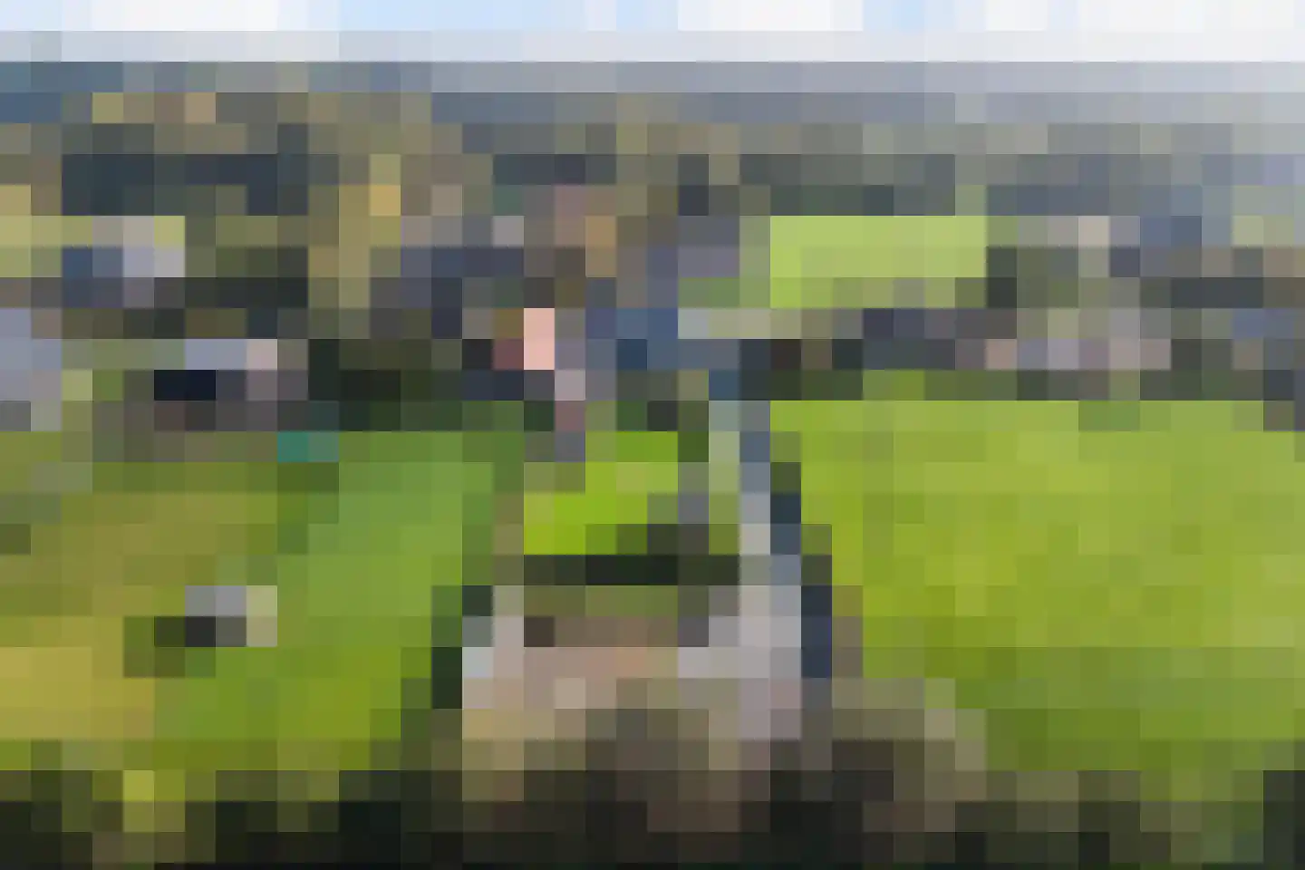 De Trieme 20 De Trieme thumbnail 51
