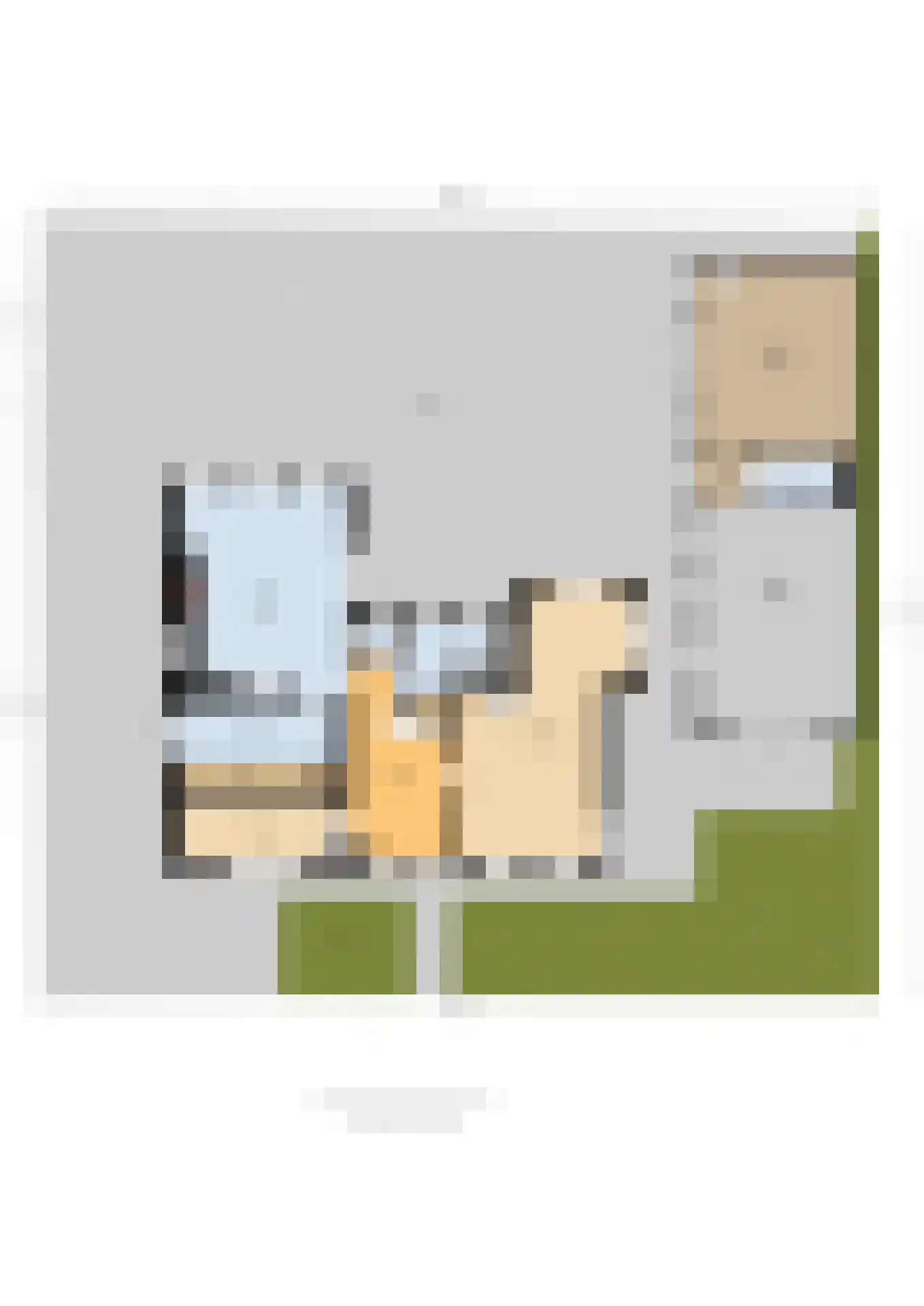 De Trieme 20 De Trieme thumbnail 57