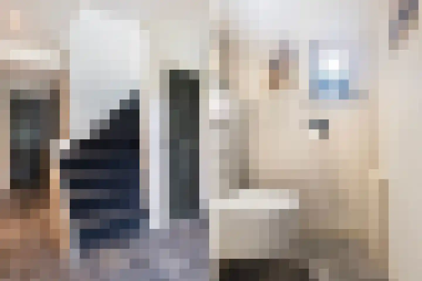 De Trieme 20 De Trieme thumbnail 9