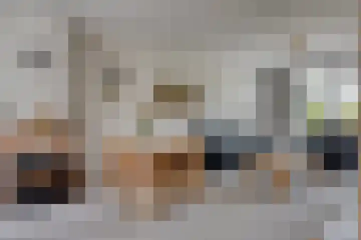 de Trije 1 Goutum