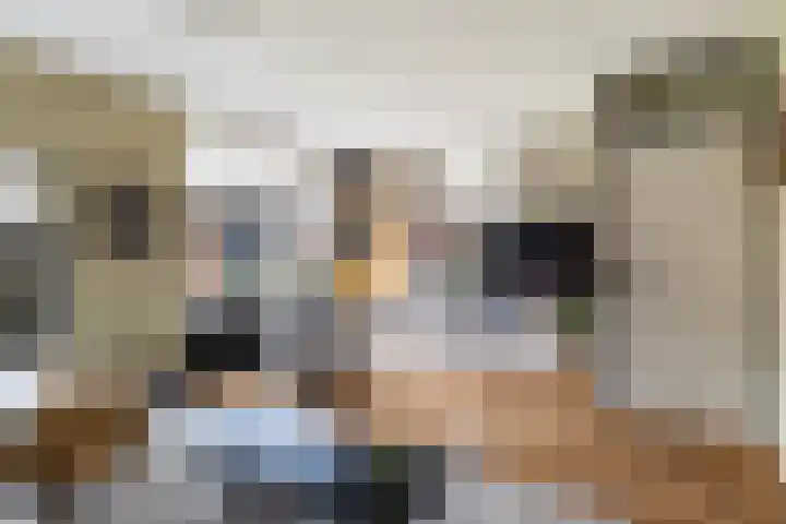 de Trije 1 Goutum thumbnail 13