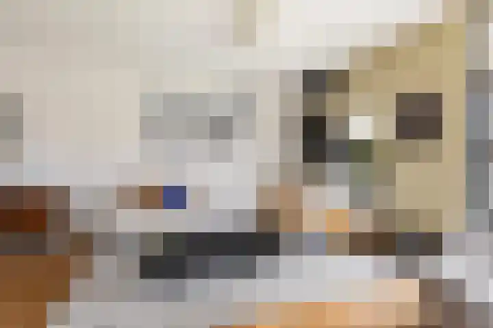 de Trije 1 Goutum thumbnail 14
