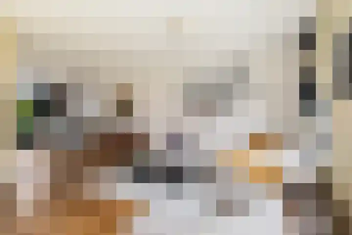 de Trije 1 Goutum thumbnail 15