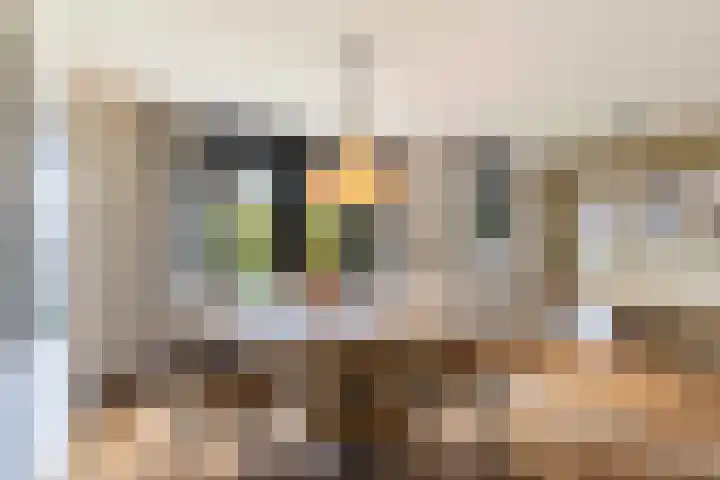de Trije 1 Goutum thumbnail 23