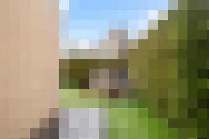 de Trije 1 Goutum thumbnail 29