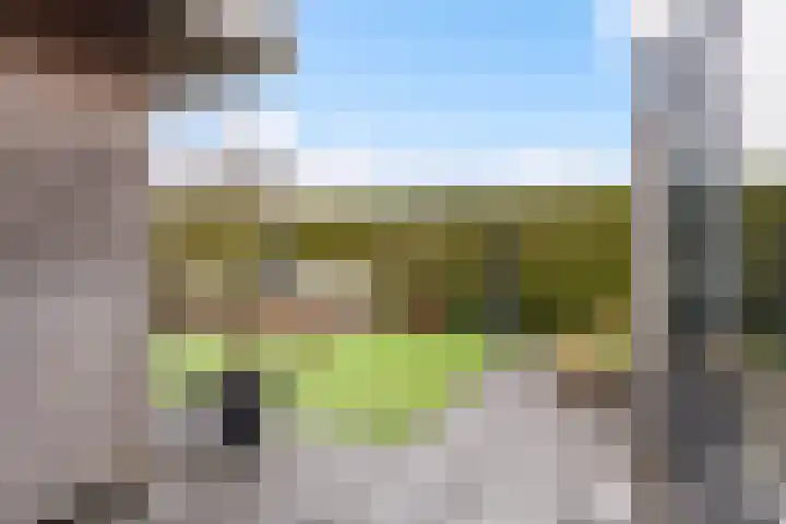 de Trije 1 Goutum thumbnail 30