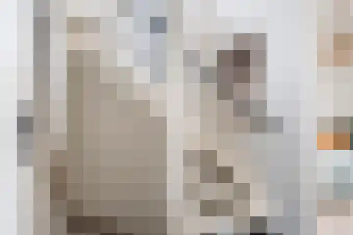 de Trije 1 Goutum thumbnail 35