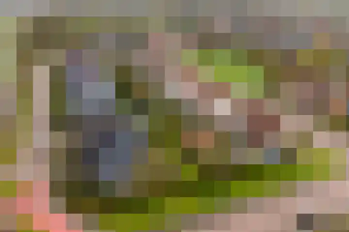 de Trije 1 Goutum thumbnail 47