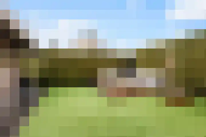 de Trije 1 Goutum thumbnail 5