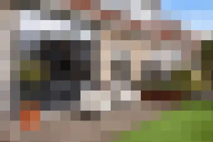 de Trije 1 Goutum thumbnail 8