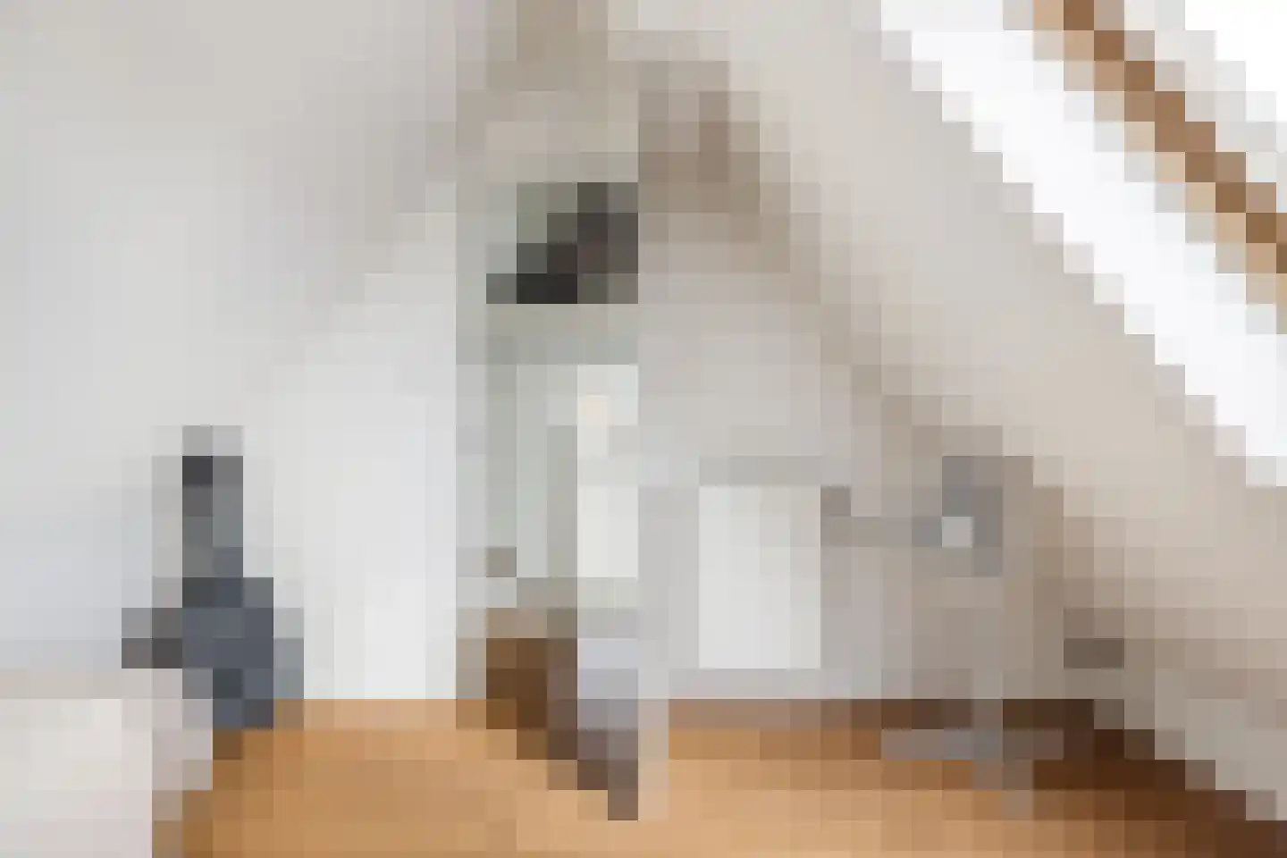 de Trije 33 Goutum thumbnail 40