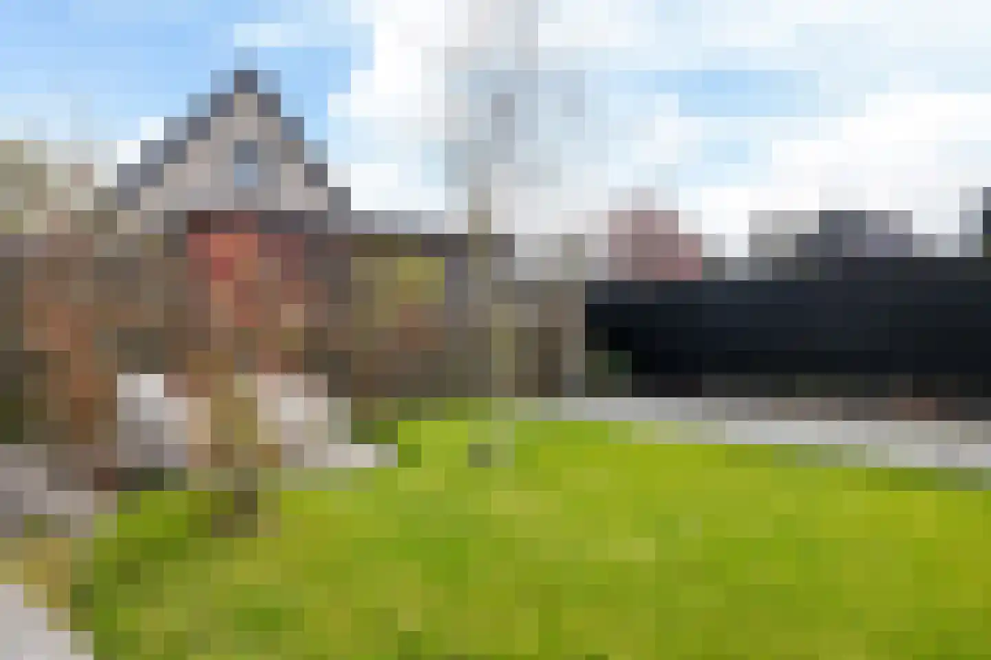 de Trije 33 Goutum thumbnail 49