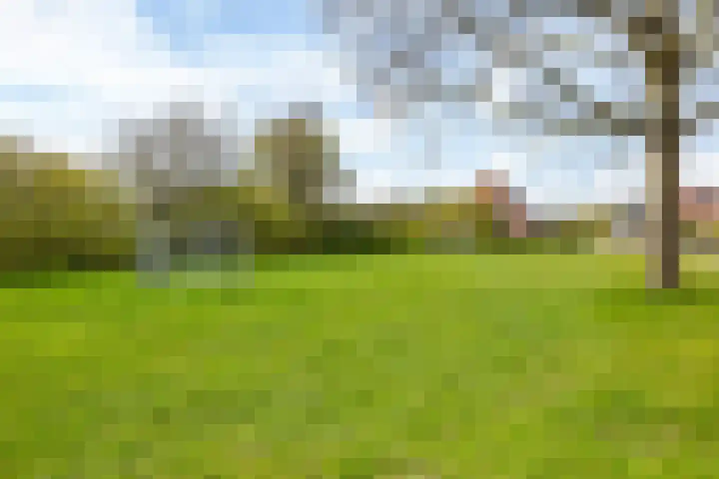 de Trije 33 Goutum thumbnail 56