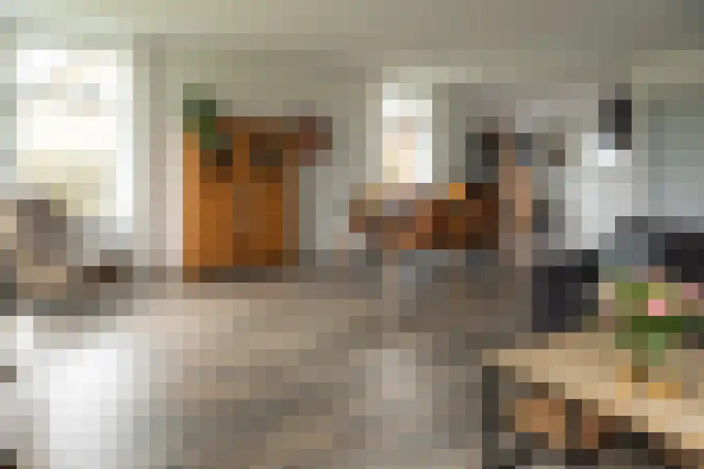 De Trije Roeden 21 Boelenslaan thumbnail 10