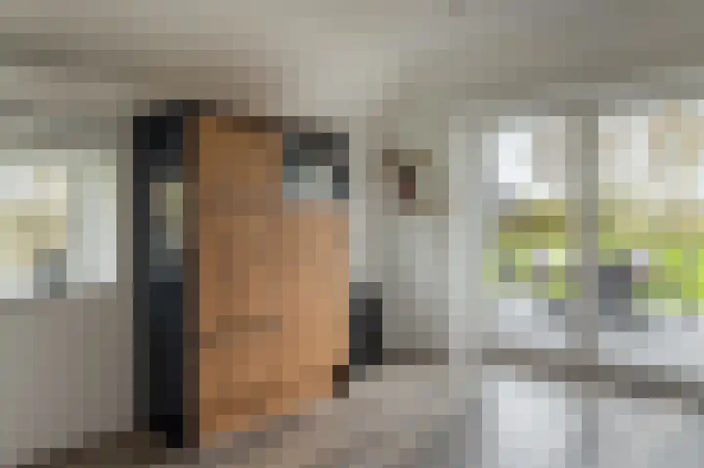 De Trije Roeden 21 Boelenslaan thumbnail 12