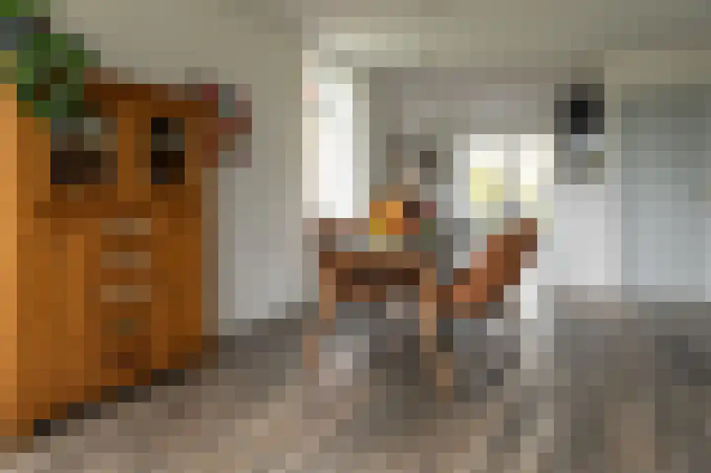 De Trije Roeden 21 Boelenslaan thumbnail 15