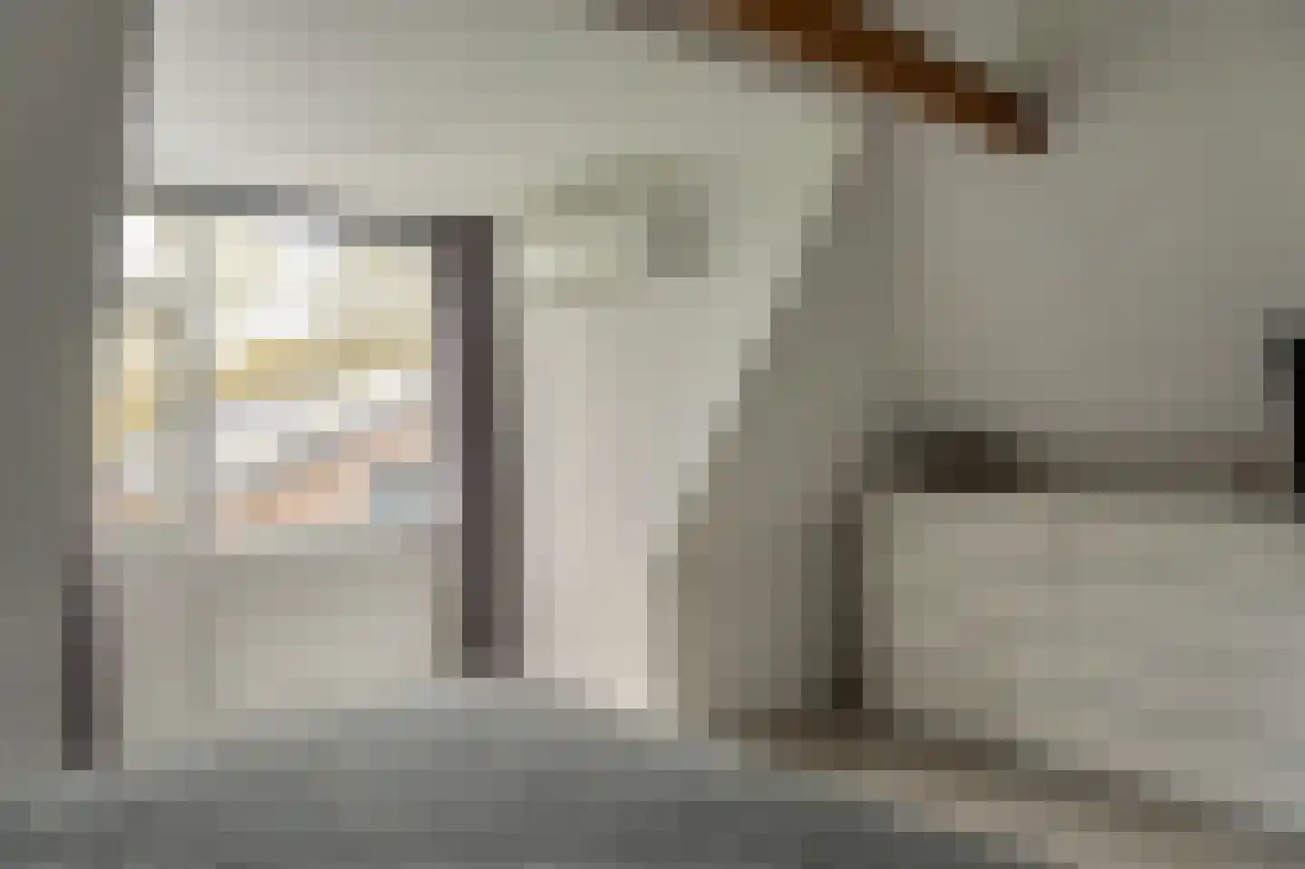 De Trije Roeden 21 Boelenslaan thumbnail 20