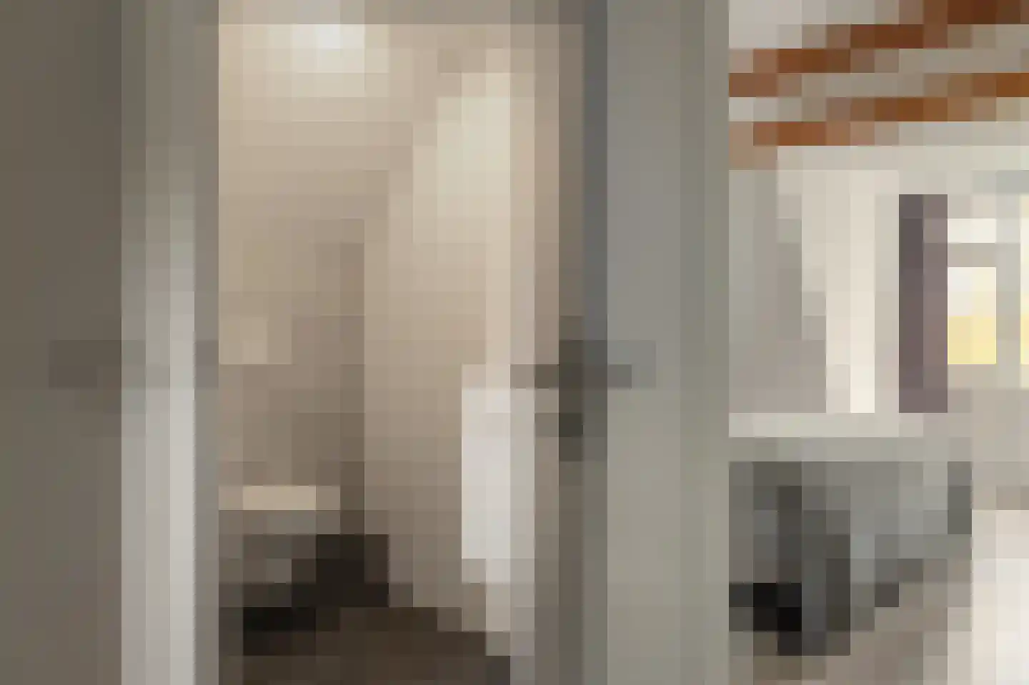 De Trije Roeden 21 Boelenslaan thumbnail 22