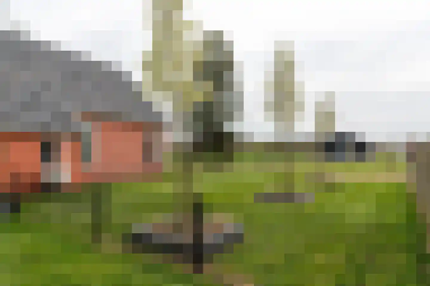 De Trije Roeden 21 Boelenslaan thumbnail 29