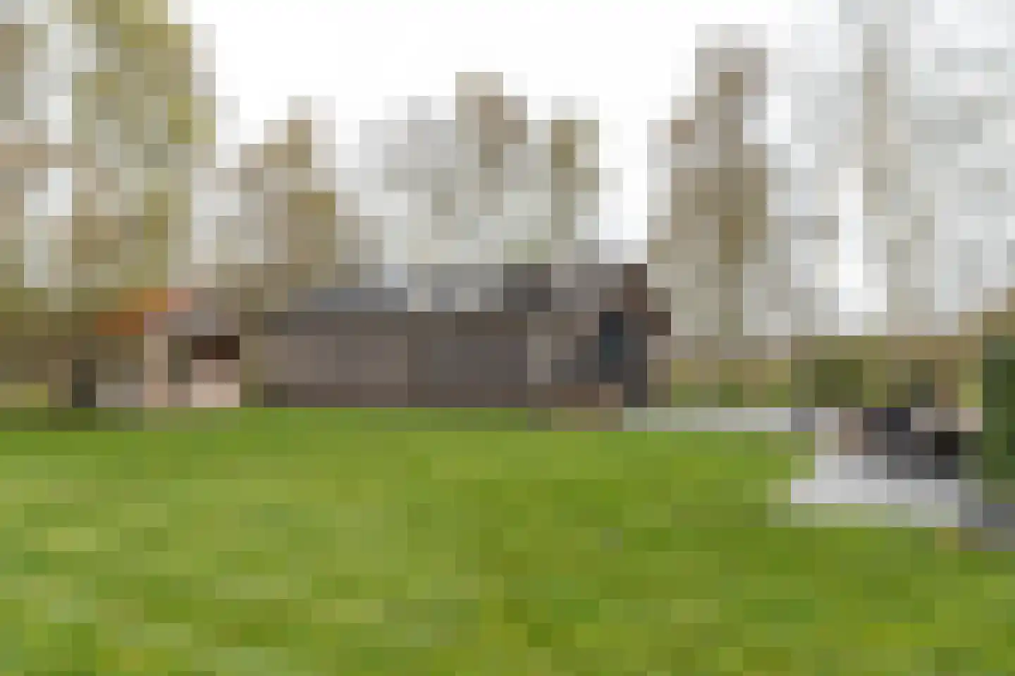 De Trije Roeden 21 Boelenslaan thumbnail 35