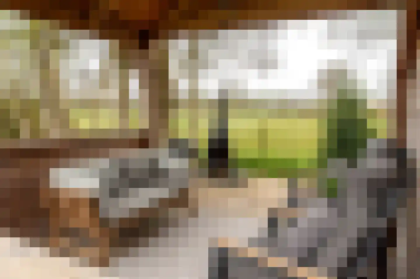 De Trije Roeden 21 Boelenslaan thumbnail 36
