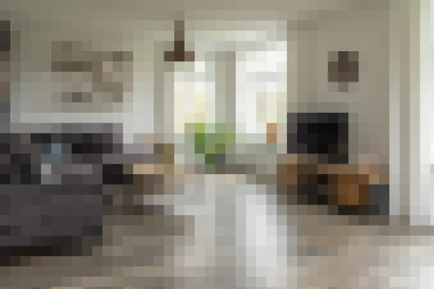 De Trije Roeden 21 Boelenslaan thumbnail 7