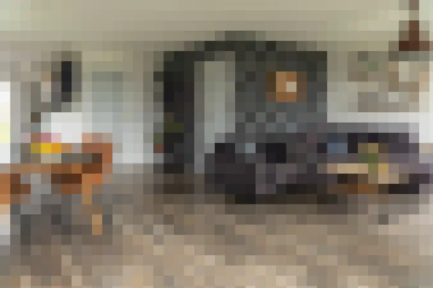 De Trije Roeden 21 Boelenslaan thumbnail 8