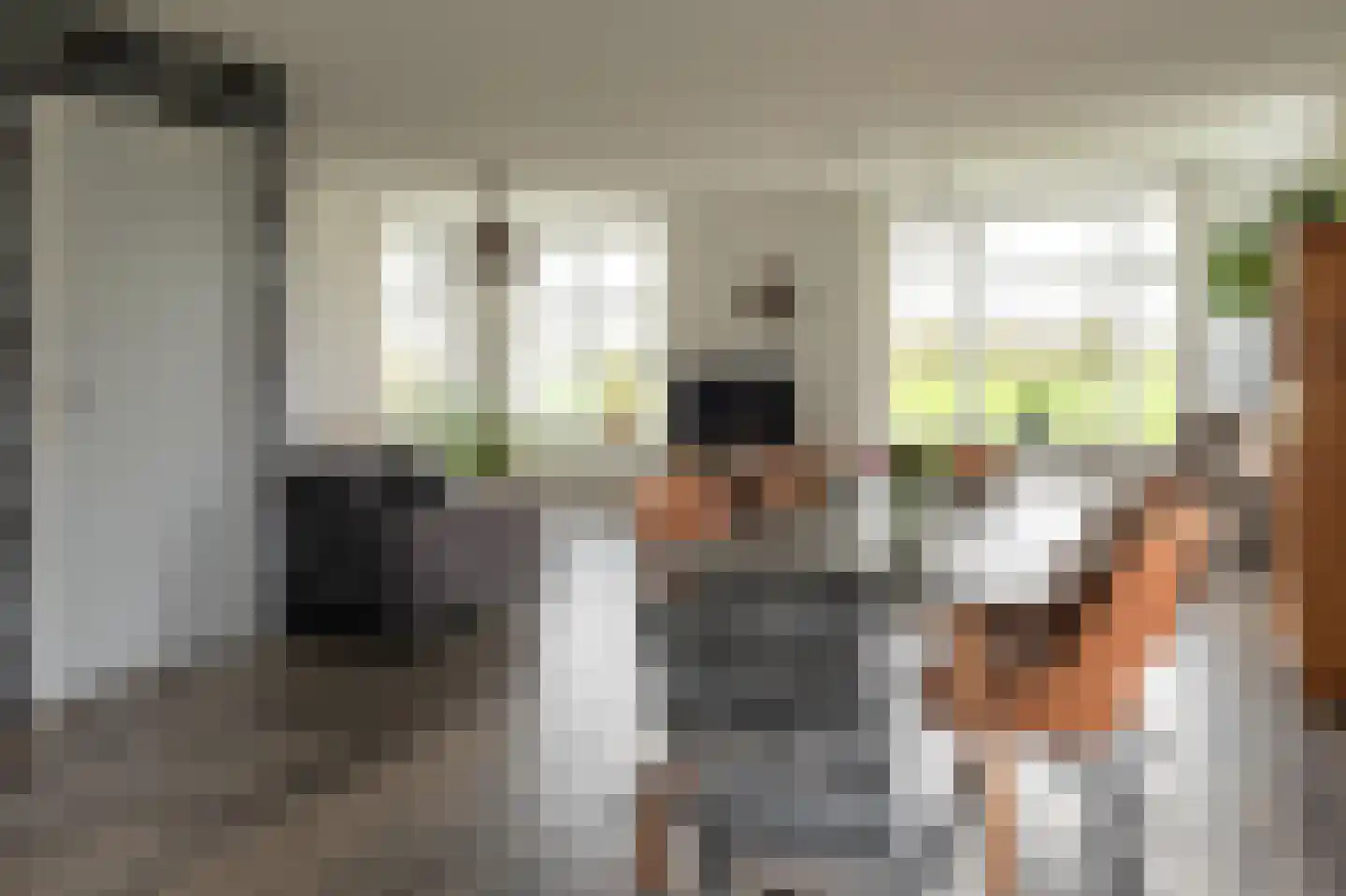 De Trije Roeden 21 Boelenslaan thumbnail 9