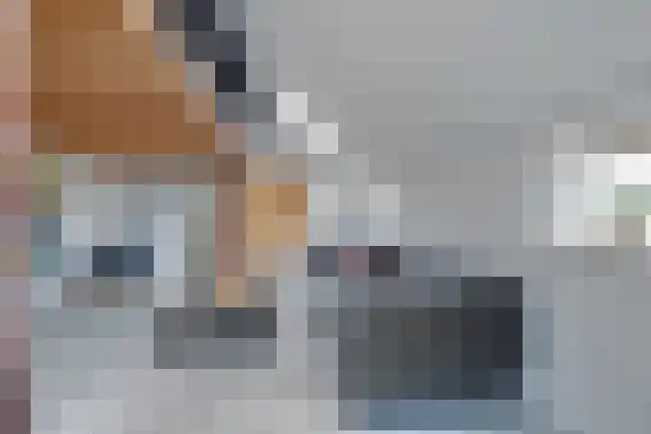 De Trije Roeden 6 Boelenslaan thumbnail 10