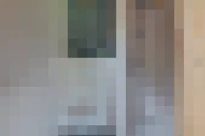 De Trije Roeden 6 Boelenslaan thumbnail 100
