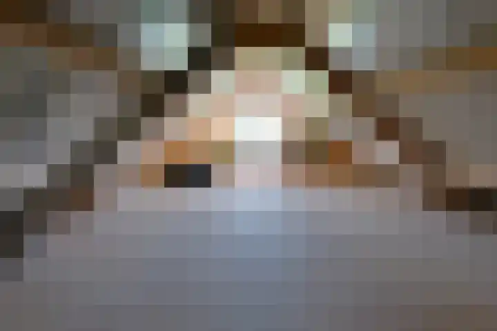 De Trije Roeden 6 Boelenslaan thumbnail 101