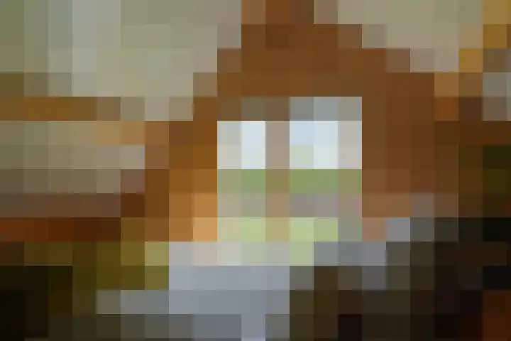 De Trije Roeden 6 Boelenslaan thumbnail 103