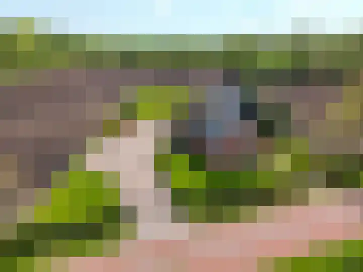 De Trije Roeden 6 Boelenslaan thumbnail 104