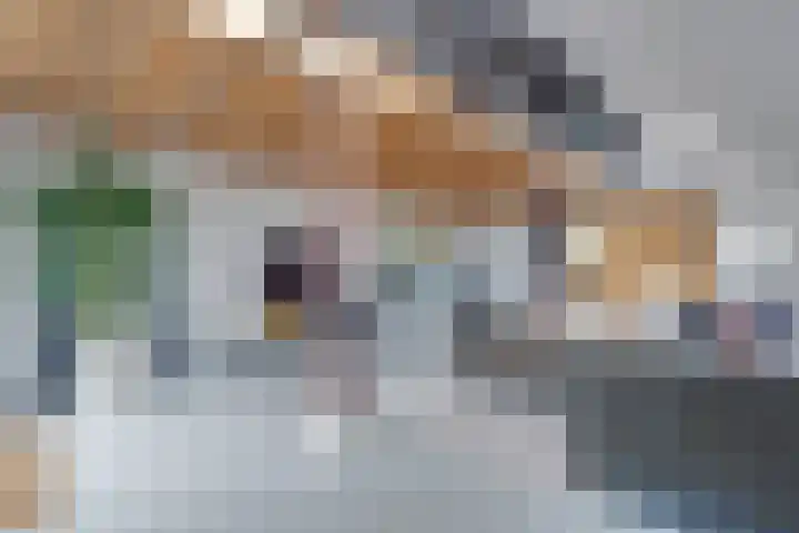 De Trije Roeden 6 Boelenslaan thumbnail 11