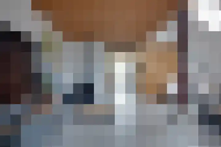 De Trije Roeden 6 Boelenslaan thumbnail 14