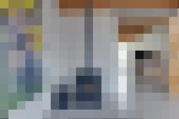 De Trije Roeden 6 Boelenslaan thumbnail 15