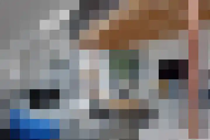 De Trije Roeden 6 Boelenslaan thumbnail 16