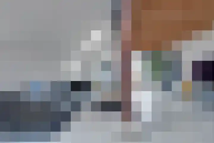 De Trije Roeden 6 Boelenslaan thumbnail 17