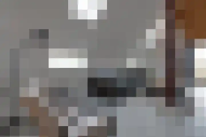 De Trije Roeden 6 Boelenslaan thumbnail 18