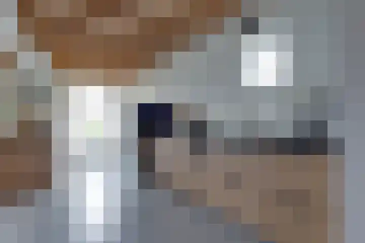 De Trije Roeden 6 Boelenslaan thumbnail 19