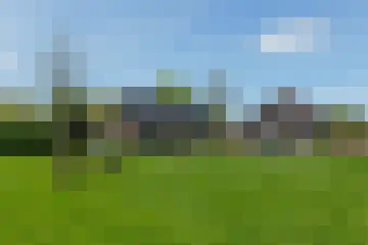 De Trije Roeden 6 Boelenslaan foto 2