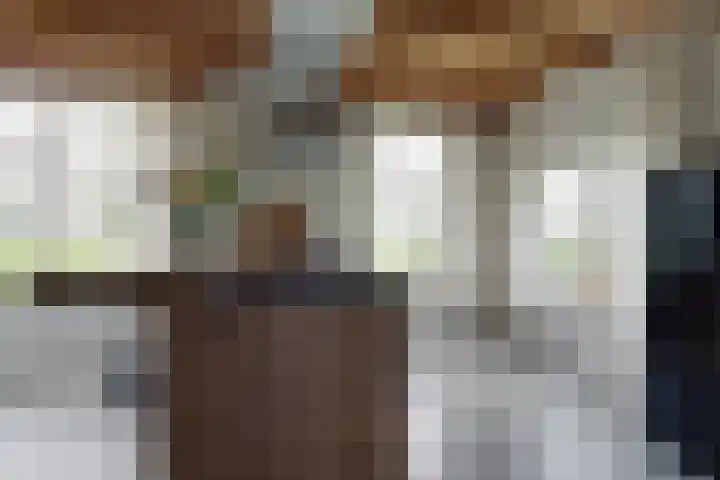 De Trije Roeden 6 Boelenslaan thumbnail 21